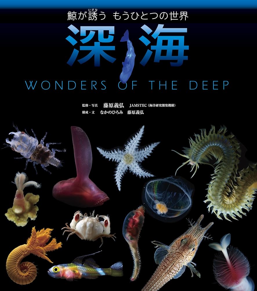 占い師・カウンセラーが自然体で成功する秘密のセミナーDVD 占い師・カウンセラーが自然体で成功する秘密のセミナー DVD